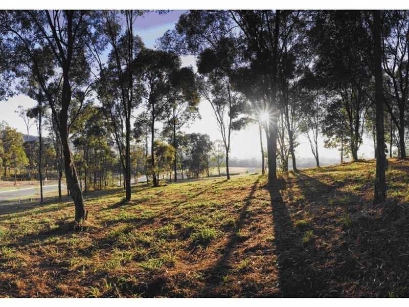 Photo - Lot 206 Trail Side Court, Upper Coomera QLD 4209 - Image 3