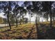 Photo - Lot 206 Trail Side Court, Upper Coomera QLD 4209 - Image 3