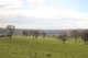 Photo - Lot 208 Browns Creek Road, Blayney NSW 2799 - Image 1