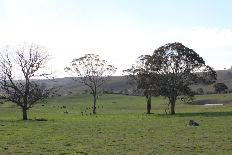 Photo - Lot 208 Browns Creek Road, Blayney NSW 2799 - Image 2