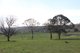 Photo - Lot 208 Browns Creek Road, Blayney NSW 2799 - Image 2