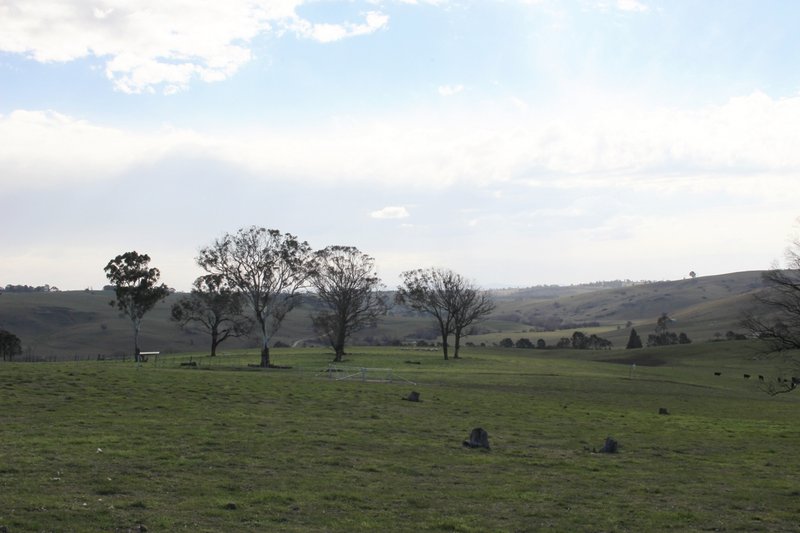 Photo - Lot 208 Browns Creek Road, Blayney NSW 2799 - Image 5