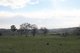 Photo - Lot 208 Browns Creek Road, Blayney NSW 2799 - Image 5