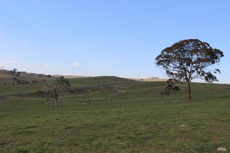 Photo - Lot 208 Browns Creek Road, Blayney NSW 2799 - Image 6