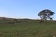 Photo - Lot 208 Browns Creek Road, Blayney NSW 2799 - Image 6