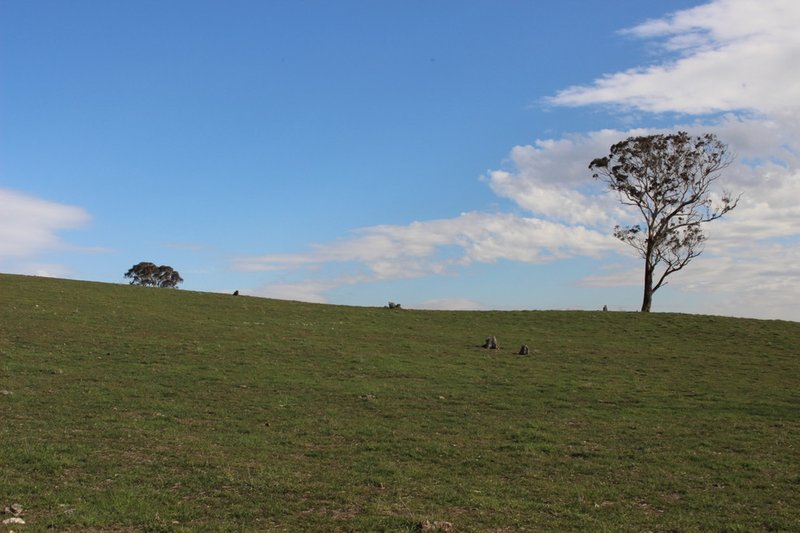 Photo - Lot 208 Browns Creek Road, Blayney NSW 2799 - Image 8