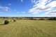 Photo - Lot 209 Riverside Street, Bolwarra Heights NSW 2320 - Image 7