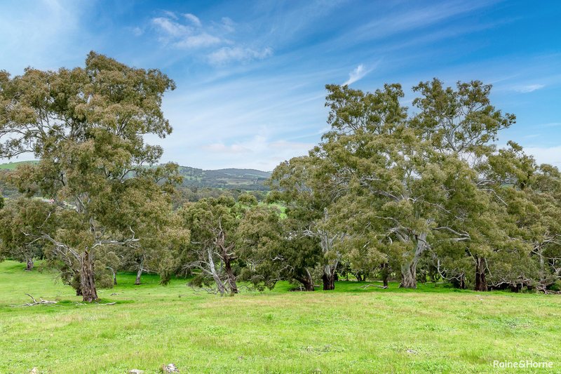 Photo - Lot 21 38 Kirkham Road, Ashbourne SA 5157 - Image 3