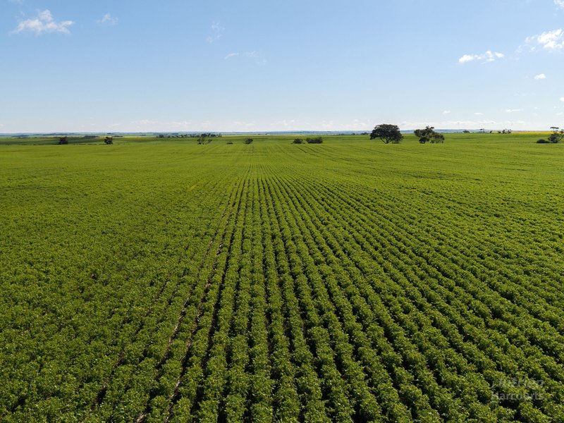 Photo - Lot 21 Boundary Road, Curramulka SA 5580 - Image 8