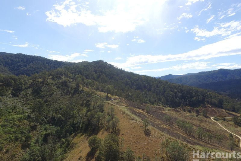 Photo - Lot 21 Five Day Creek Road, Comara NSW 2440 - Image 9