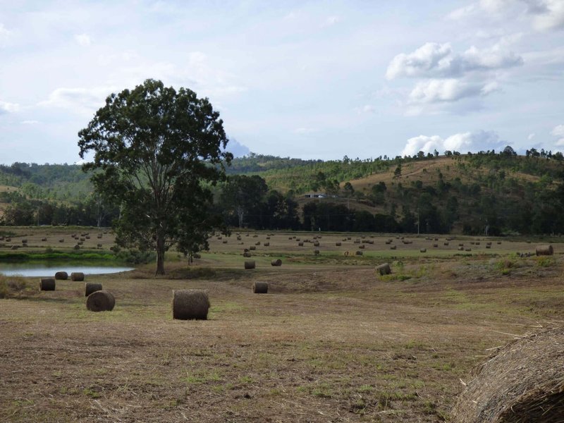 Photo - Lot 21 Kooralbyn Road, Laravale QLD 4285 - Image 4