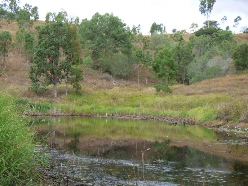 Photo - Lot 21 Kooralbyn Road, Laravale QLD 4285 - Image 5