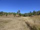 Photo - Lot 21 Kooralbyn Road, Laravale QLD 4285 - Image 8