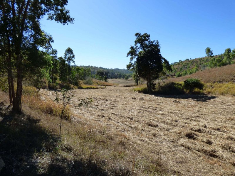 Photo - Lot 21 Kooralbyn Road, Laravale QLD 4285 - Image 10