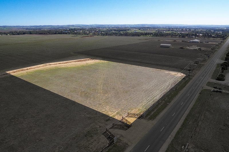 Photo - Lot 21 Nine Mile Road, Strathalbyn SA 5255 - Image 5