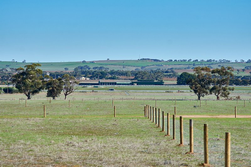 Photo - Lot 21 Nine Mile Road, Strathalbyn SA 5255 - Image 10