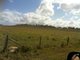 Photo - Lot 21 Pleystowe School Road, Pleystowe QLD 4741 - Image 2