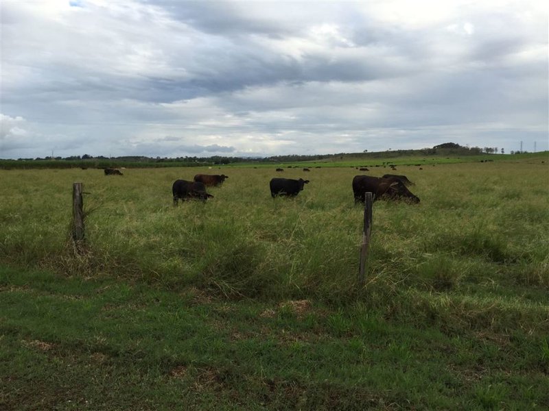 Photo - Lot 21 Pleystowe School Road, Pleystowe QLD 4741 - Image 4