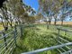 Photo - Lot 21 South Coast Highway, Esperance WA 6450 - Image 7