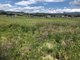 Photo - Lot 21 Wienholt Street, Maryvale QLD 4370 - Image 5