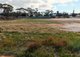 Photo - Lot 210 Station Street, Doodlakine WA 6411 - Image 2