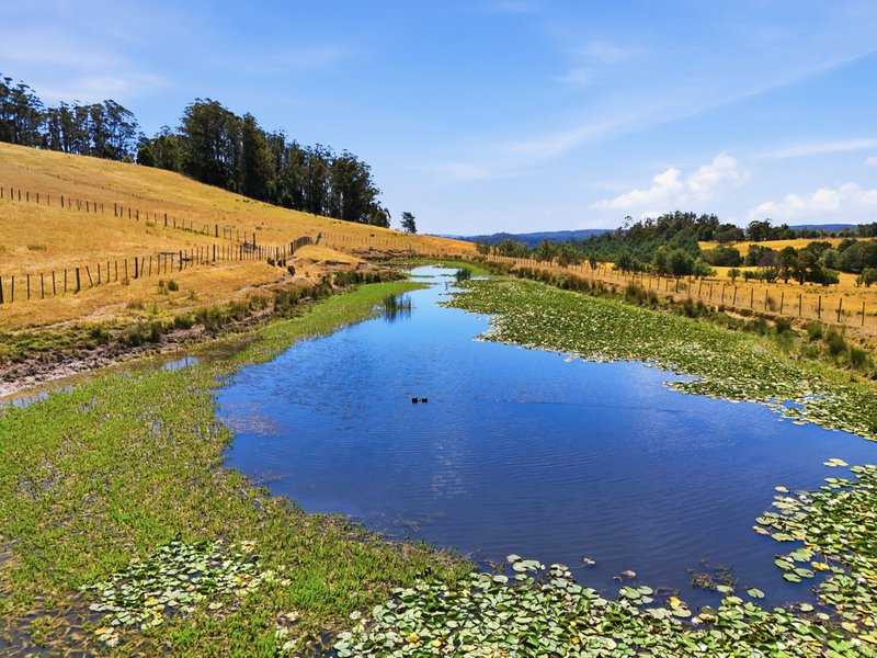 Photo - Lot 2/107 Lalla Road, Lilydale TAS 7268 - Image 6