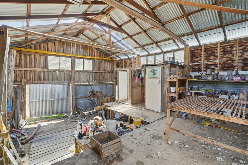 Photo - Lot 2/107 Lalla Road, Lilydale TAS 7268 - Image 12