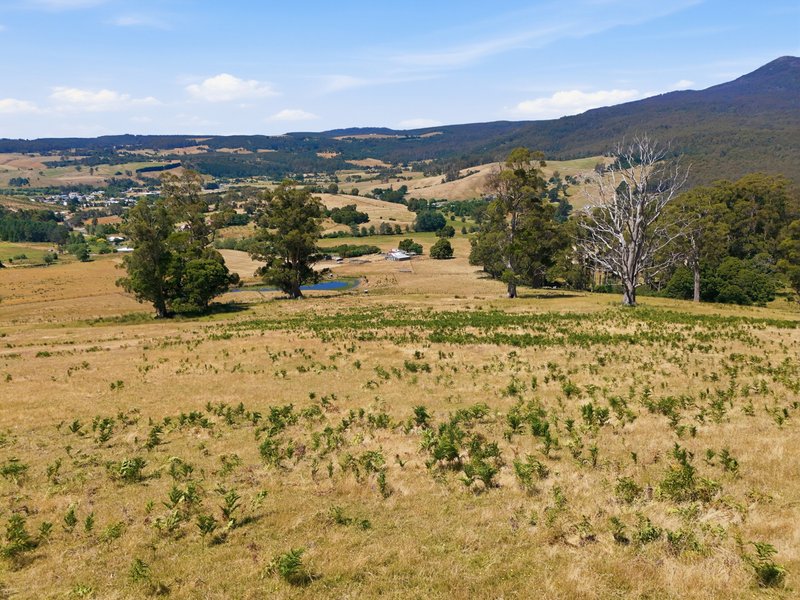 Photo - Lot 2/107 Lalla Road, Lilydale TAS 7268 - Image 15