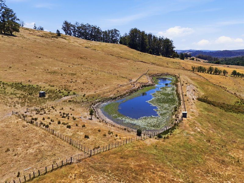 Photo - Lot 2/107 Lalla Road, Lilydale TAS 7268 - Image 16