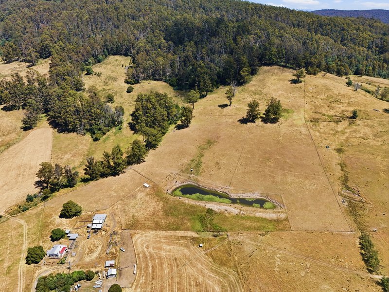 Photo - Lot 2/107 Lalla Road, Lilydale TAS 7268 - Image 18