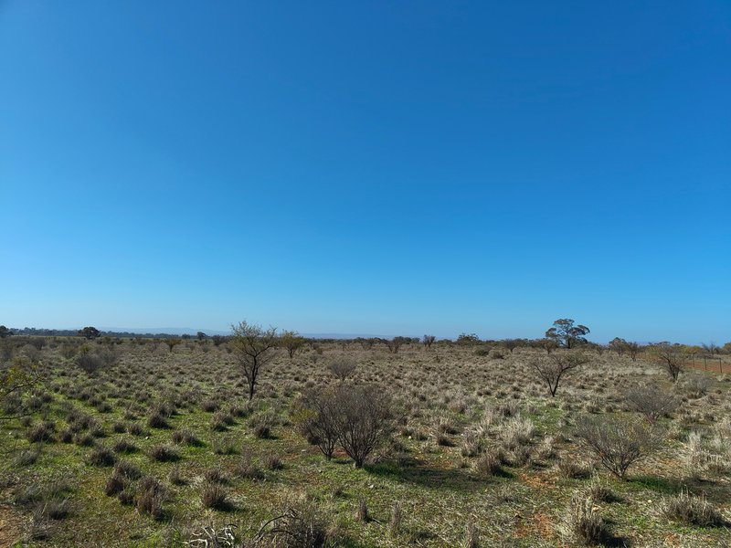Lot 213 Duhring Road, Wilmington SA 5485