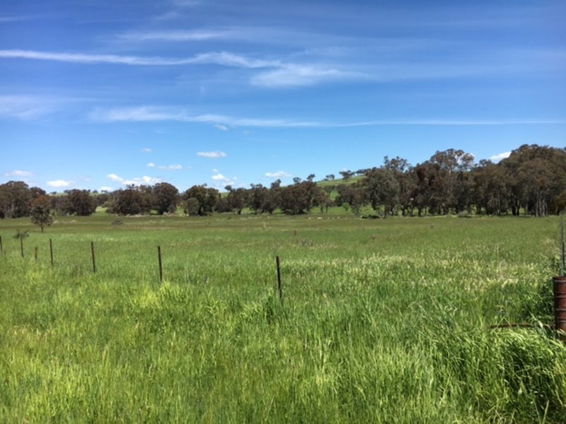 Lot 213 Reg Hailstone Way, Woodstock NSW 2793