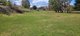 Photo - Lot 2/1302507 Wyndham Street, Adelong NSW 2729 - Image 10