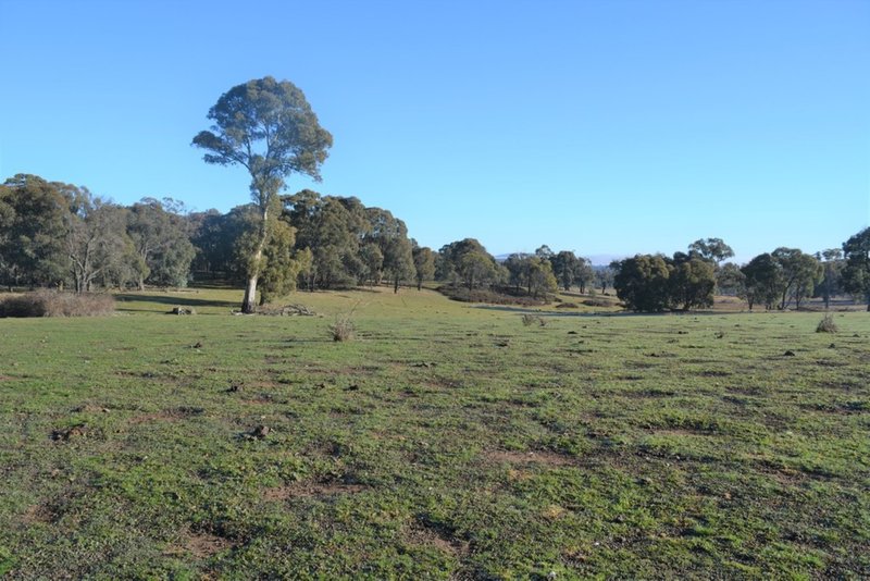 Photo - Lot 217 Redground Road, Crookwell NSW 2583 - Image 3