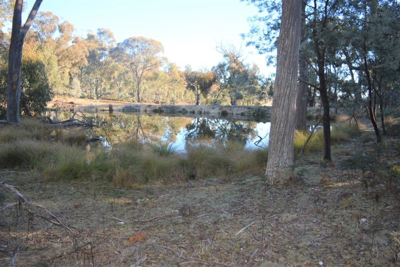 Photo - Lot 217 Redground Road, Crookwell NSW 2583 - Image 12