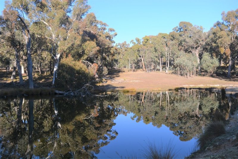 Photo - Lot 217 Redground Road, Crookwell NSW 2583 - Image 14