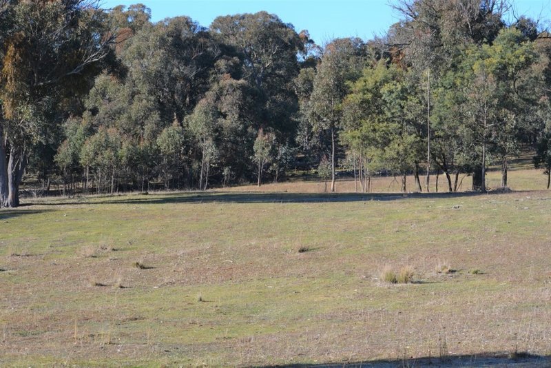 Photo - Lot 217 Redground Road, Crookwell NSW 2583 - Image 16