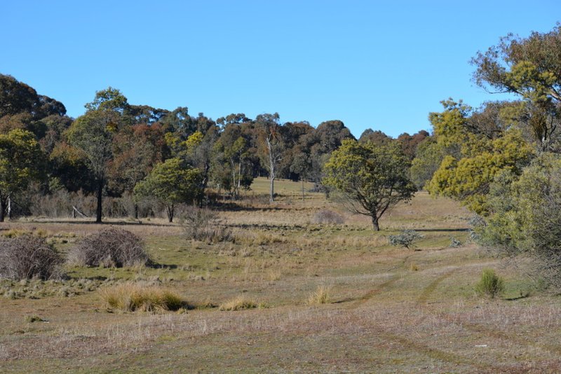 Photo - Lot 217 Redground Road, Crookwell NSW 2583 - Image 24