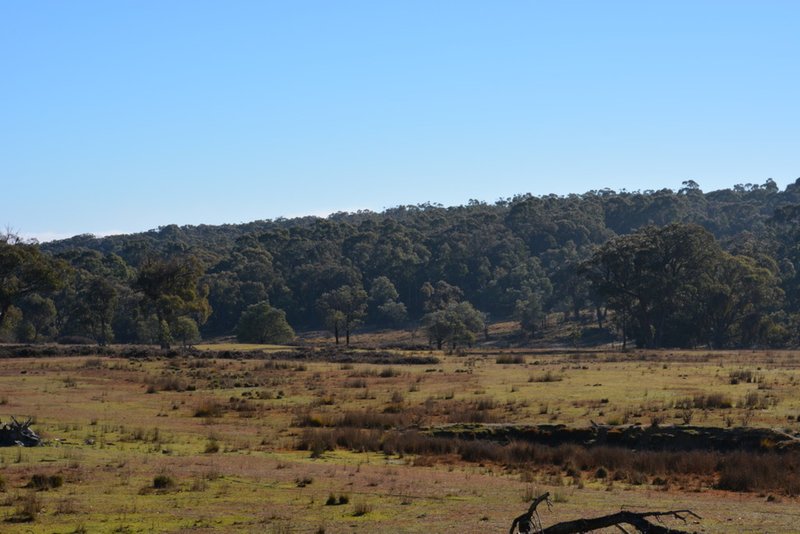 Photo - Lot 217 Redground Road, Crookwell NSW 2583 - Image 26