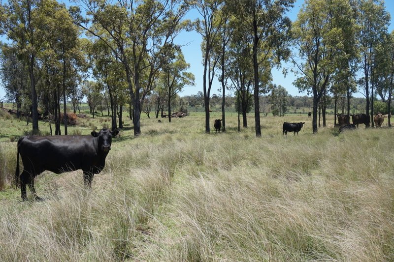 Lot 218 Old Rosemount Road, Brymaroo QLD 4403