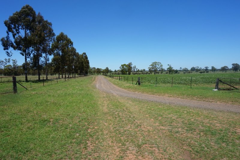 Photo - Lot 218 Old Rosemount Road, Brymaroo QLD 4403 - Image 4