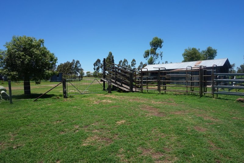 Photo - Lot 218 Old Rosemount Road, Brymaroo QLD 4403 - Image 6