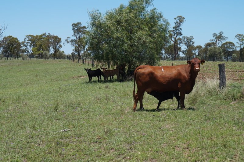 Photo - Lot 218 Old Rosemount Road, Brymaroo QLD 4403 - Image 9