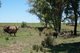 Photo - Lot 218 Old Rosemount Road, Brymaroo QLD 4403 - Image 12