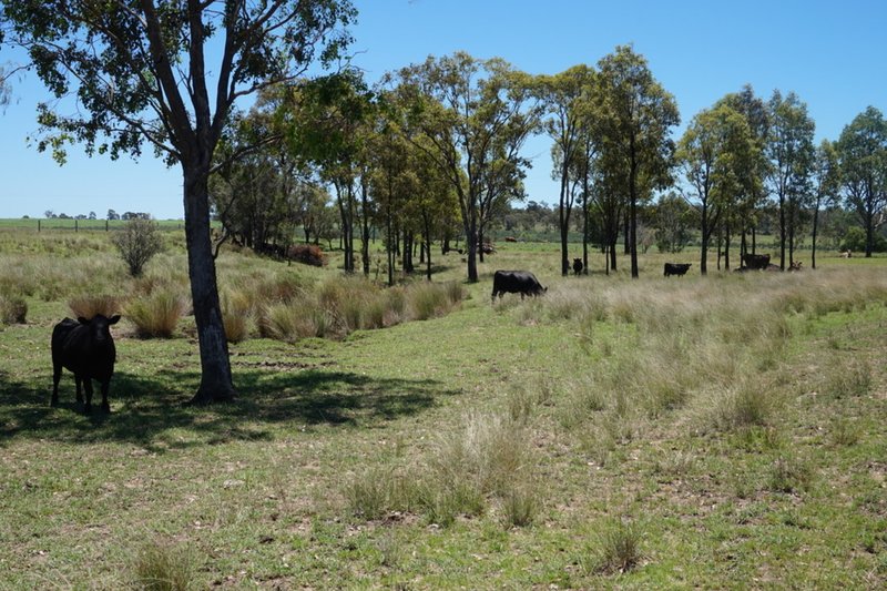 Photo - Lot 218 Old Rosemount Road, Brymaroo QLD 4403 - Image 13