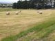 Photo - Lot 2/193 Short Rd , Gisborne South VIC 3437 - Image 5