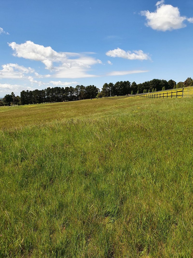 Photo - Lot 2/193 Short Rd , Gisborne South VIC 3437 - Image 6