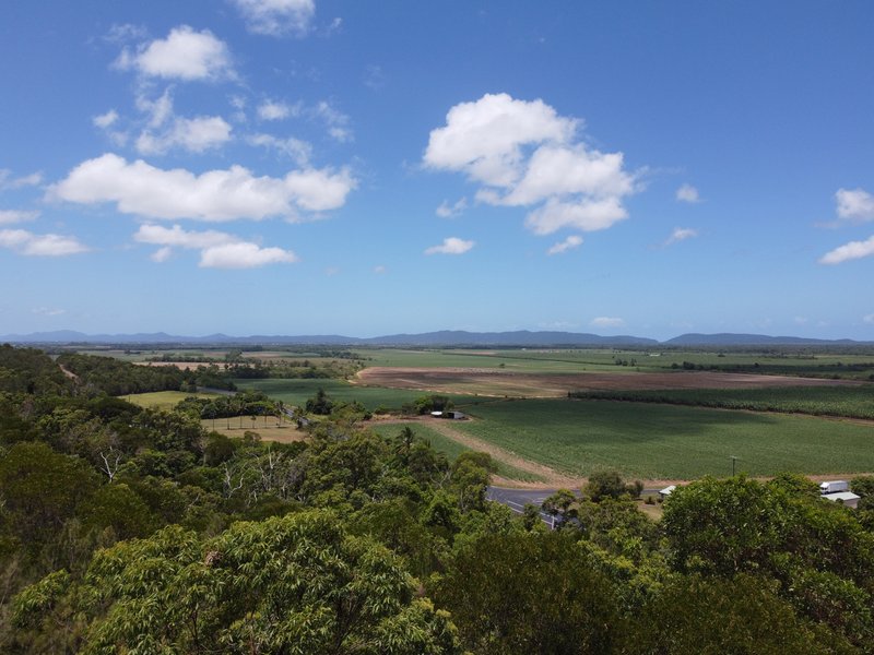 Photo - Lot 22 Bruce Highway, Cowley QLD 4871 - Image 15