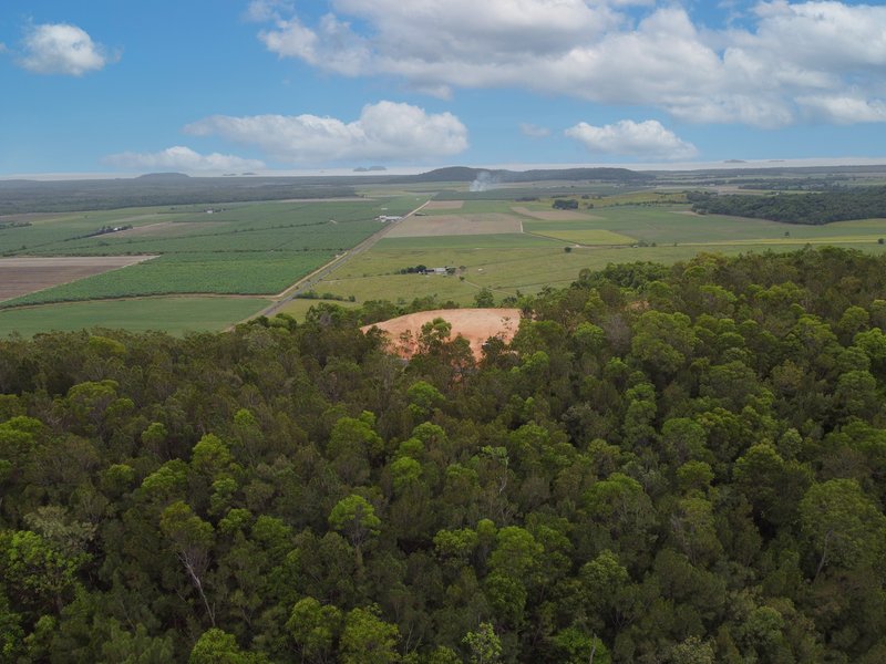 Photo - Lot 22 Bruce Highway, Cowley QLD 4871 - Image 18