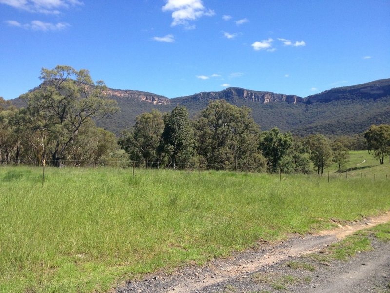 Photo - Lot 22 Genowlan Road, Rylstone NSW 2849 - Image 2